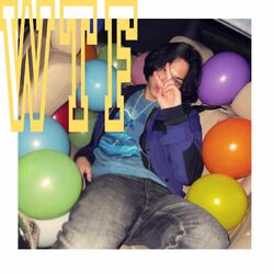 Cover of What The Feng