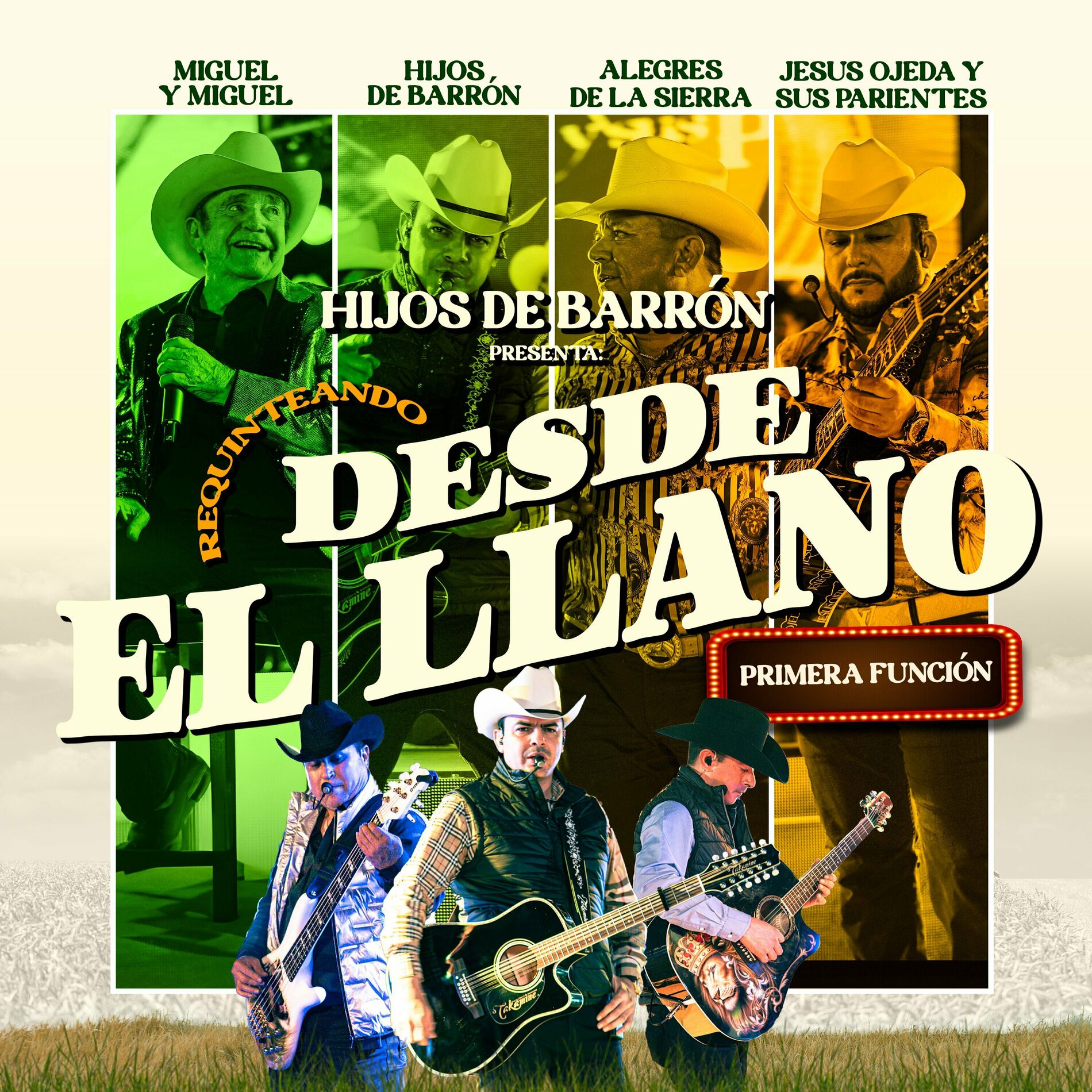 Album cover of El Cisne