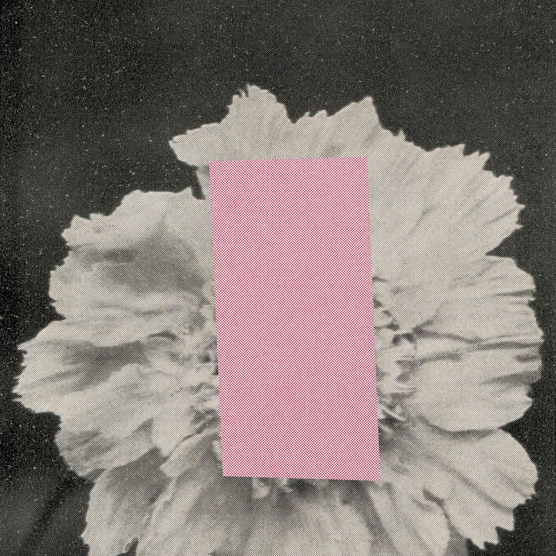Album cover of Reiu