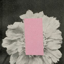 Cover of Reiu