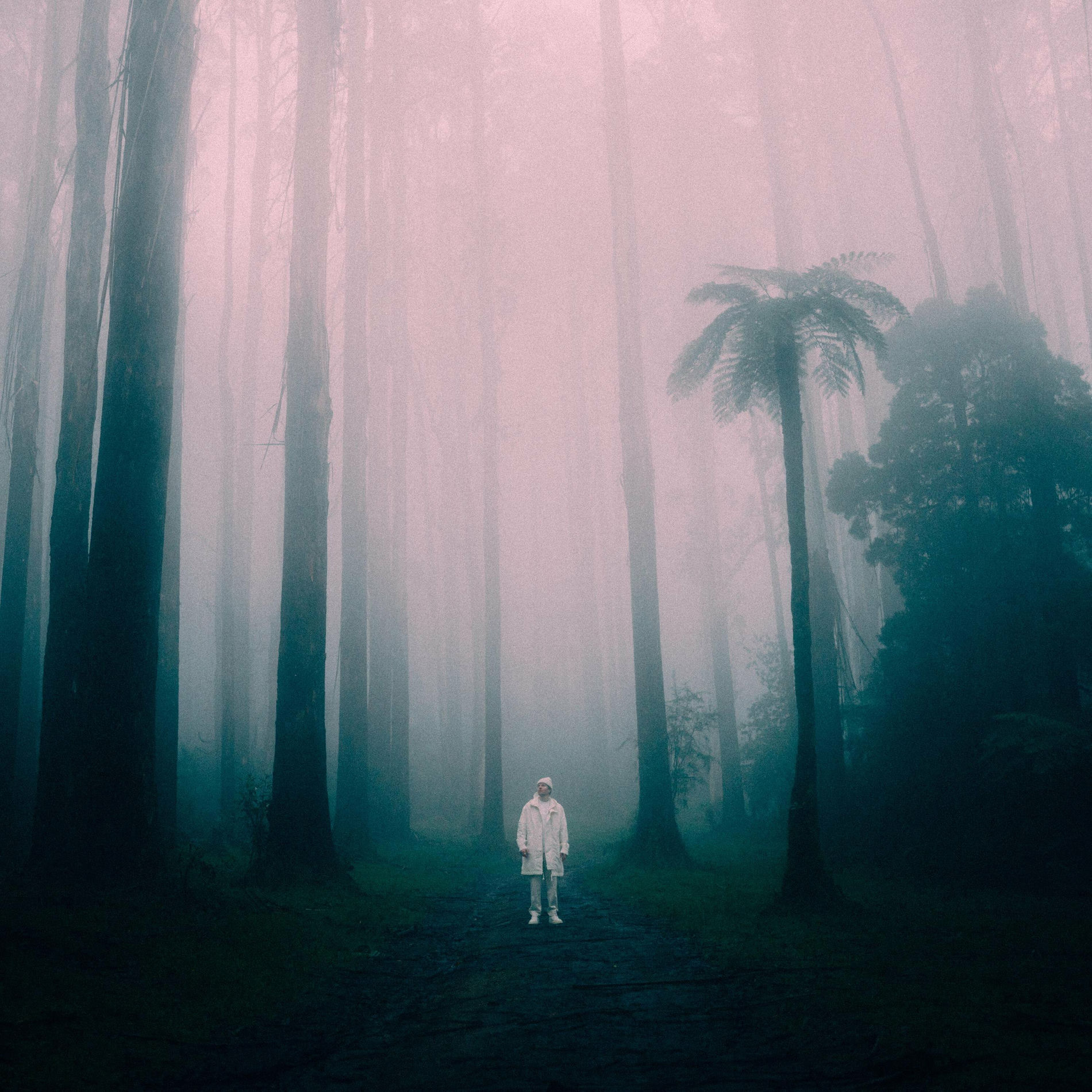 Album cover of Black Spur