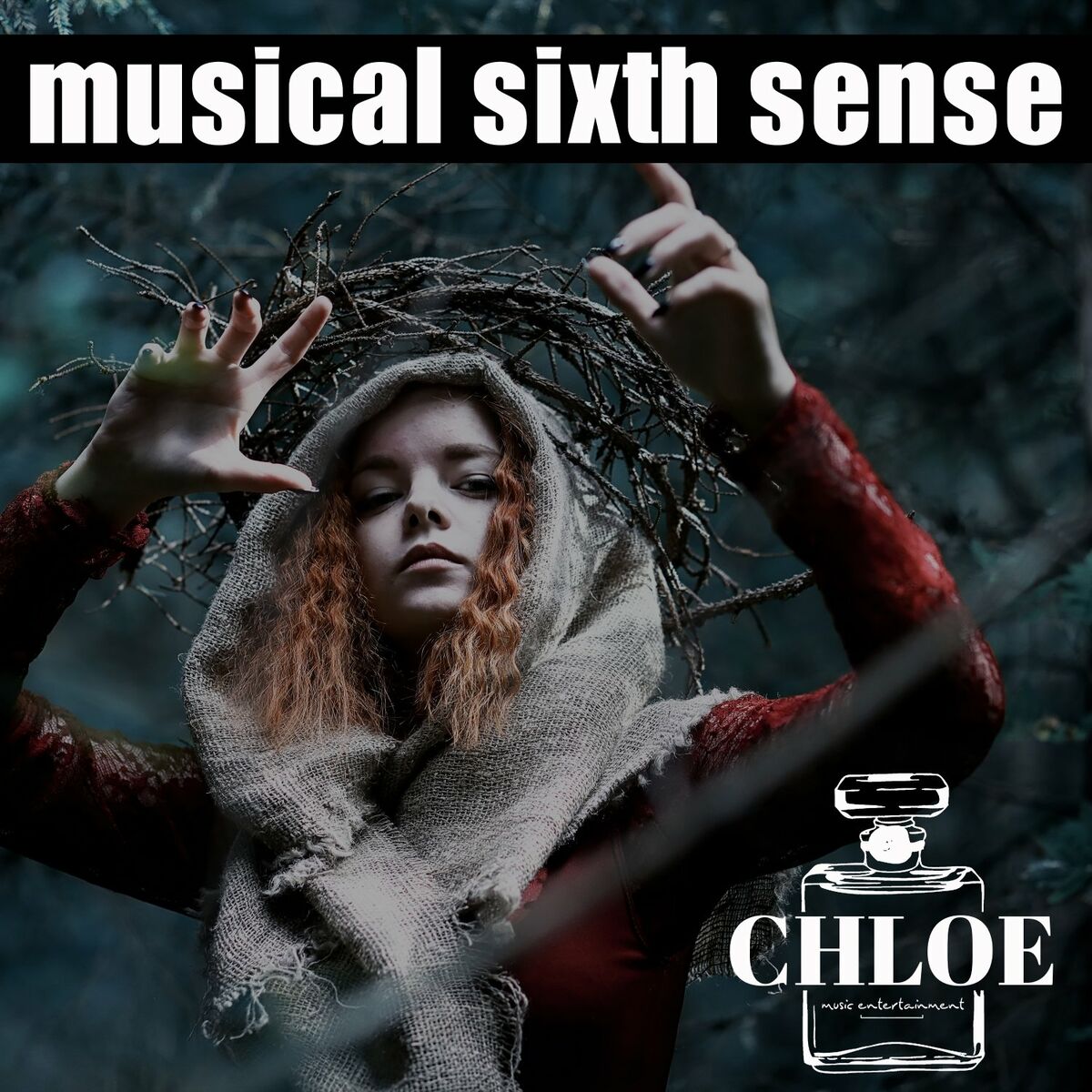 Album cover of Musical Sixth Sense