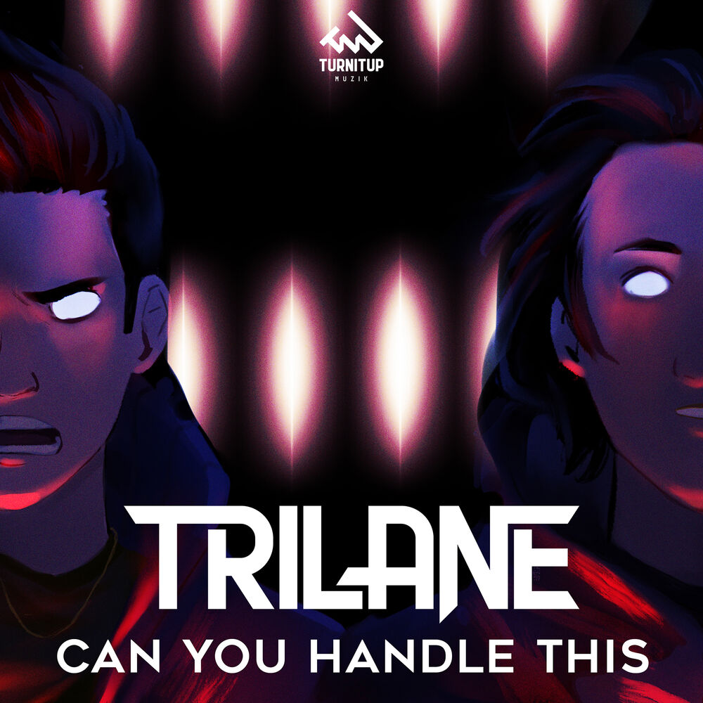 Picture of Can You Handle This