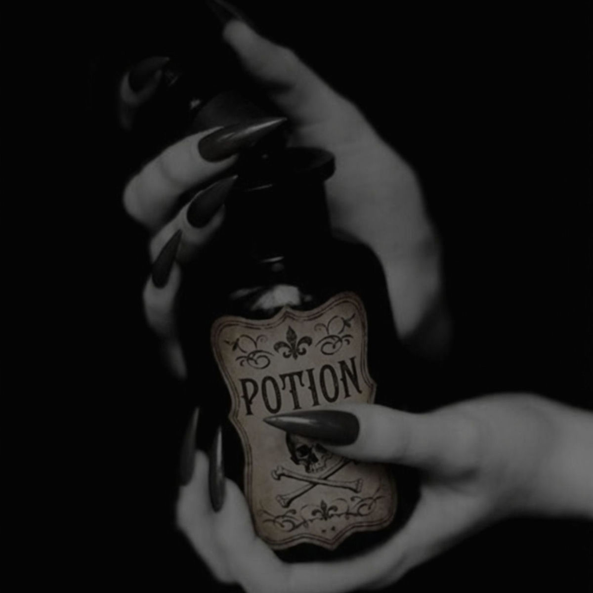 Album cover of Potion