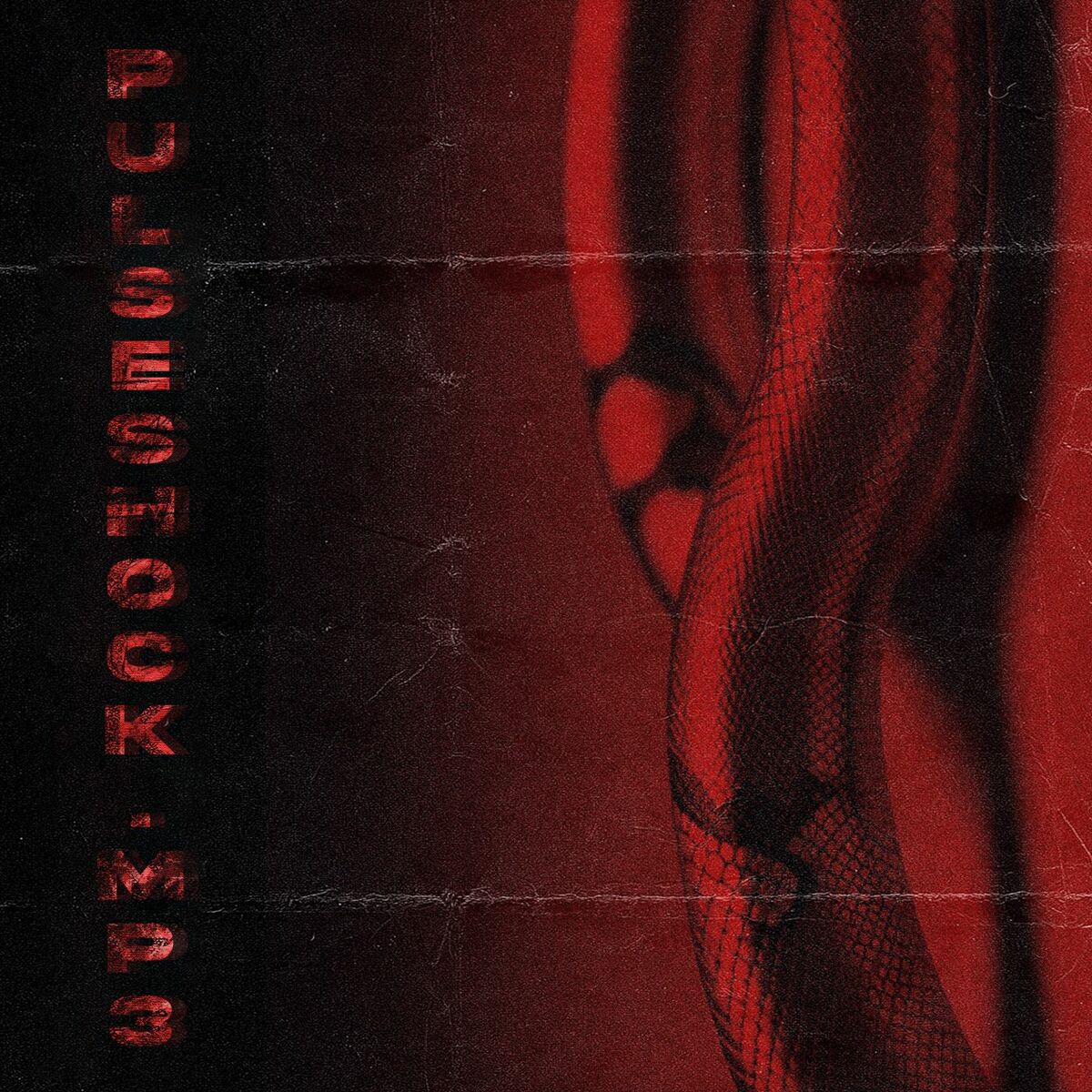 Album cover of pulseshock.mp3
