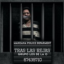 Cover of Tras las Rejas