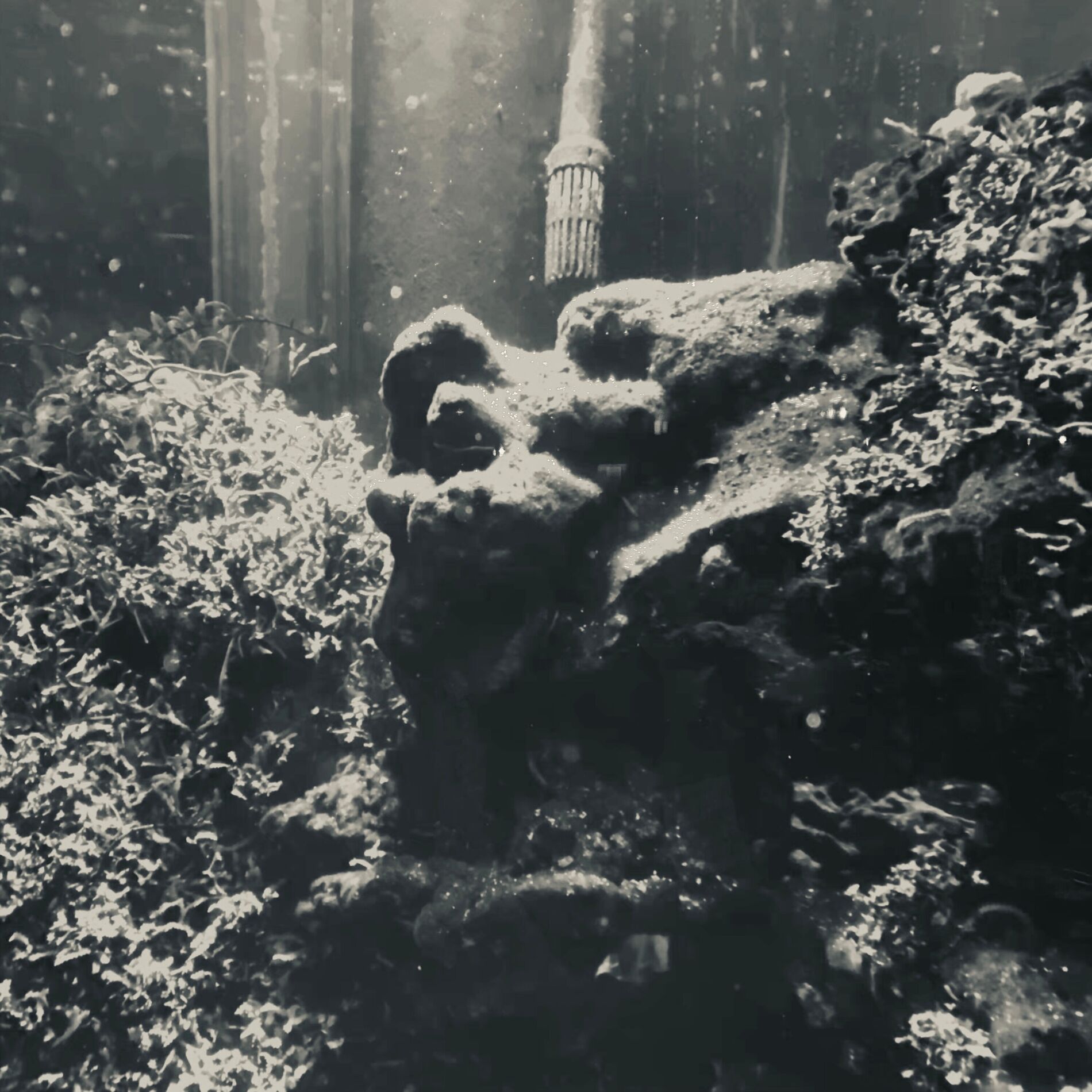 Album cover of Gone