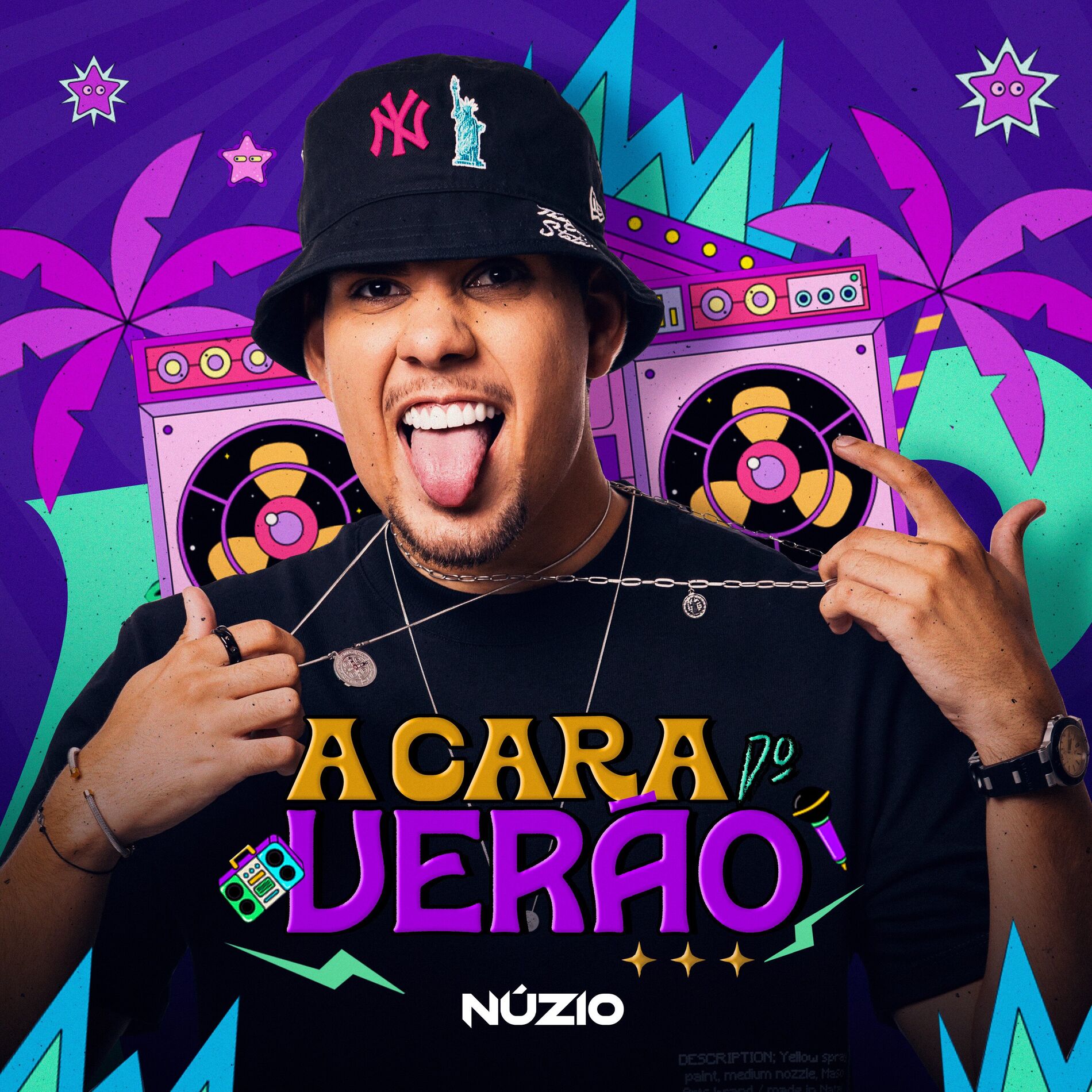 Album cover of Solteira Decidida