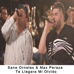 Cover of Te Llegara Mi Olvido