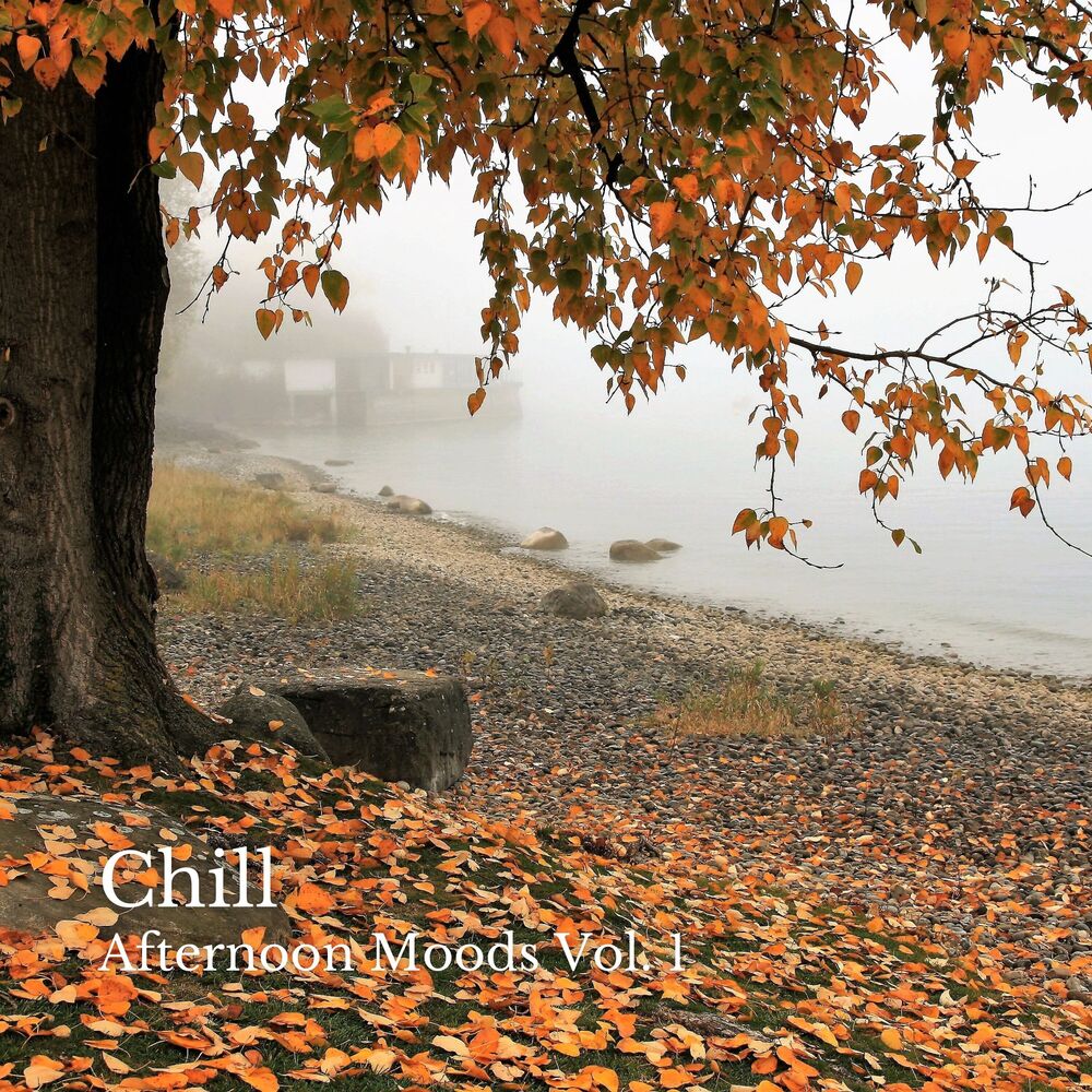 Picture of Chill: Afternoon Moods Vol. 1