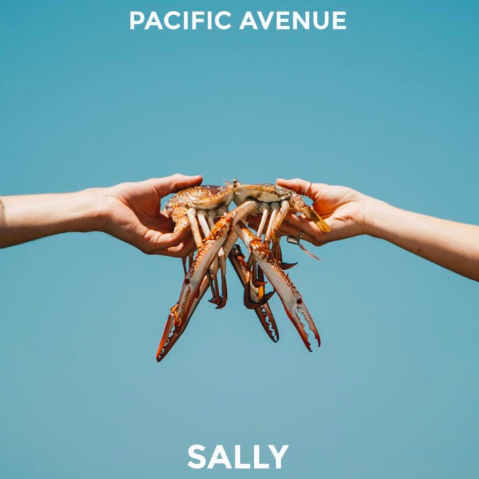 Album cover of Sally