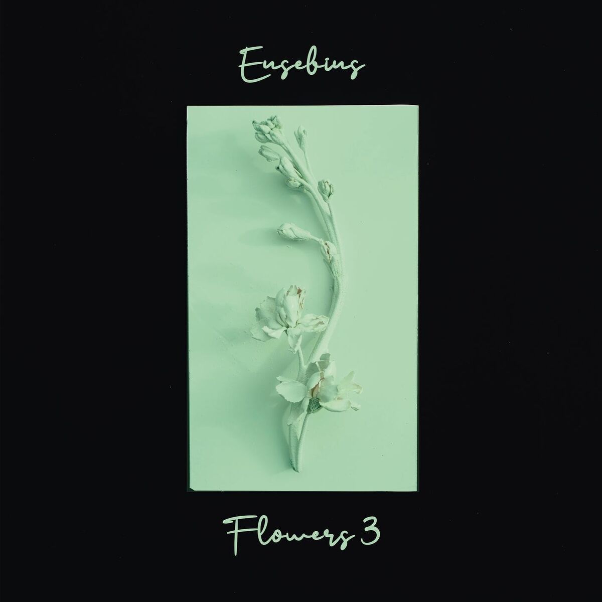 Album cover of Heather