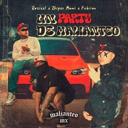 Cover of Un Party de Malianteo