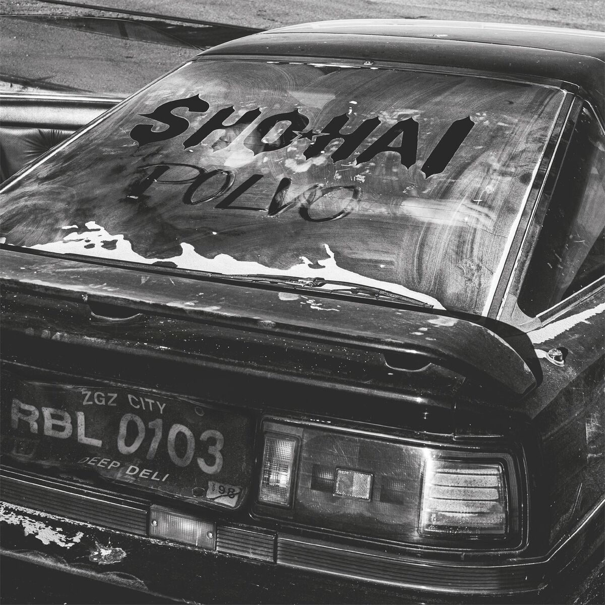 Album cover of Polvo