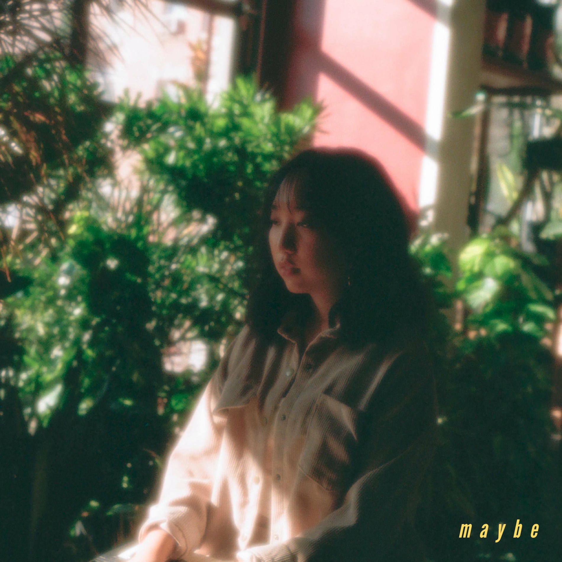 Album cover of maybe