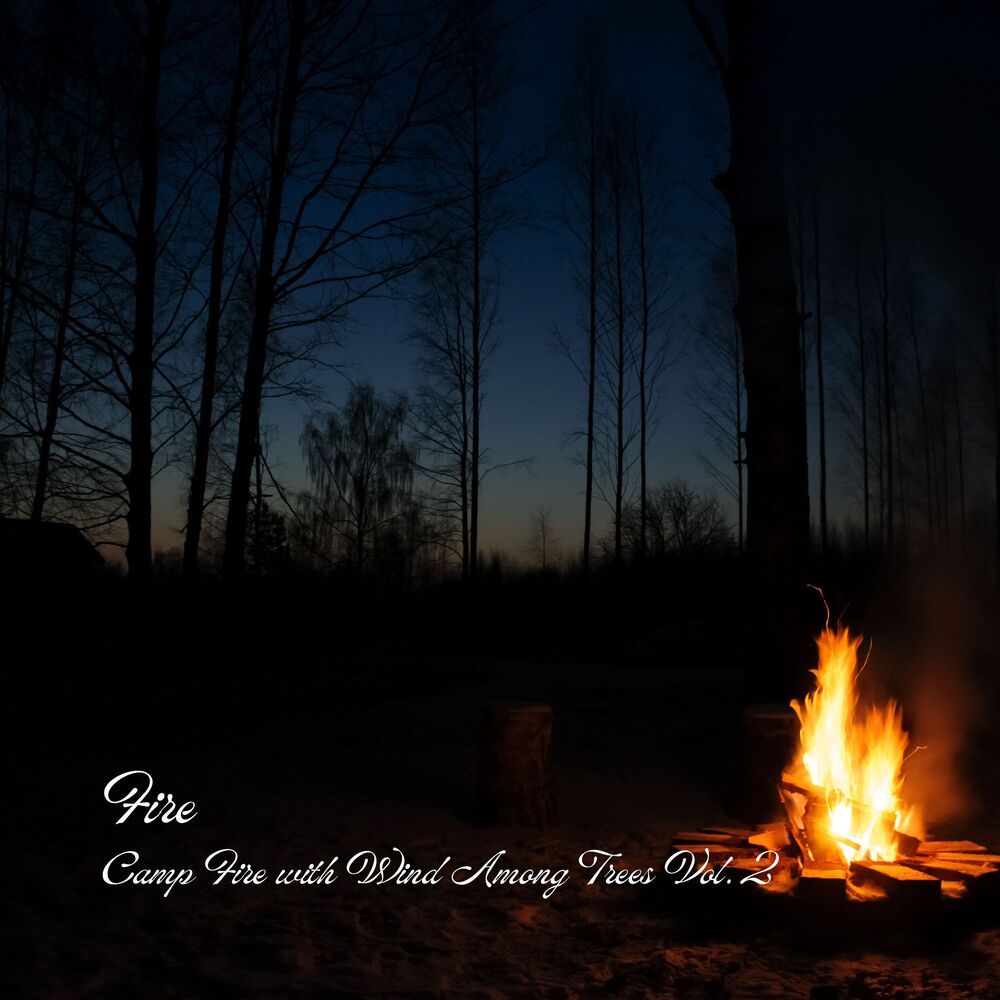 Picture of Fire: Camp Fire with Wind Among Trees Vol. 2