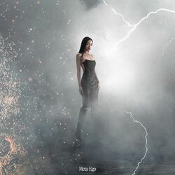 Cover of Meta Ego