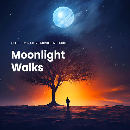 Moonlight Walks