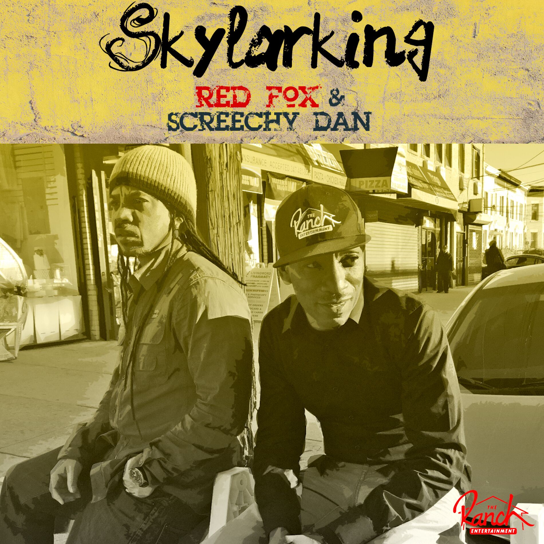 Album cover of Skylarking