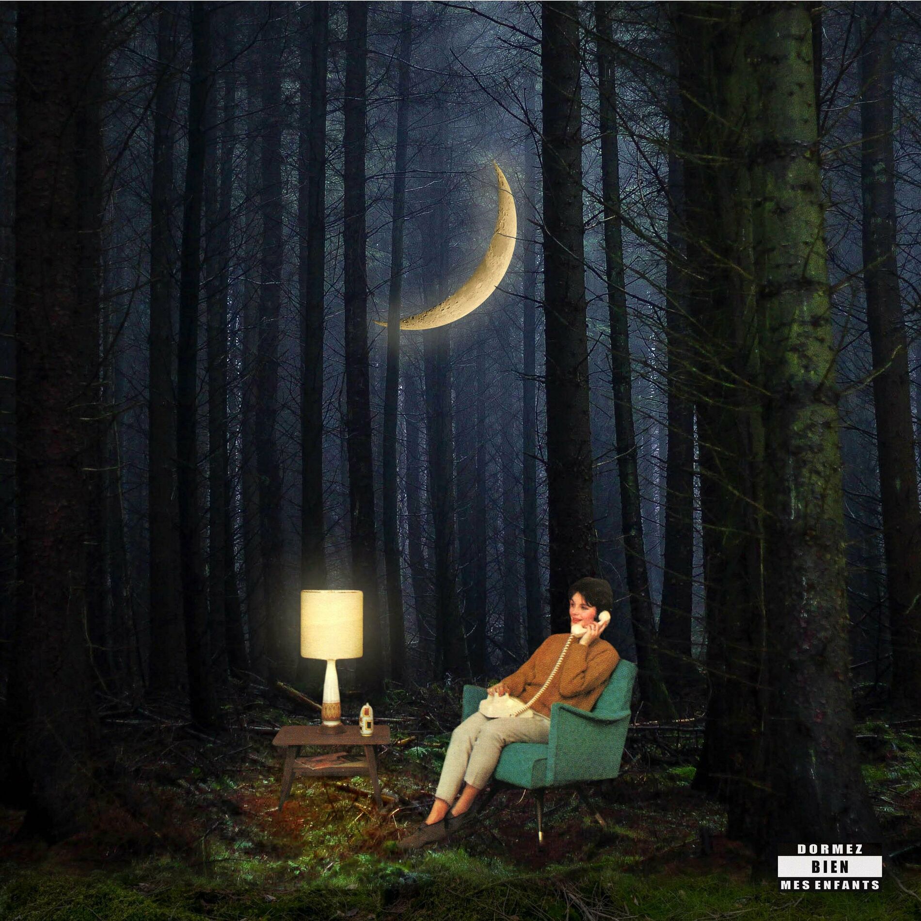 Album cover of J'entends les oiseaux