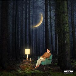Cover of J'entends les oiseaux