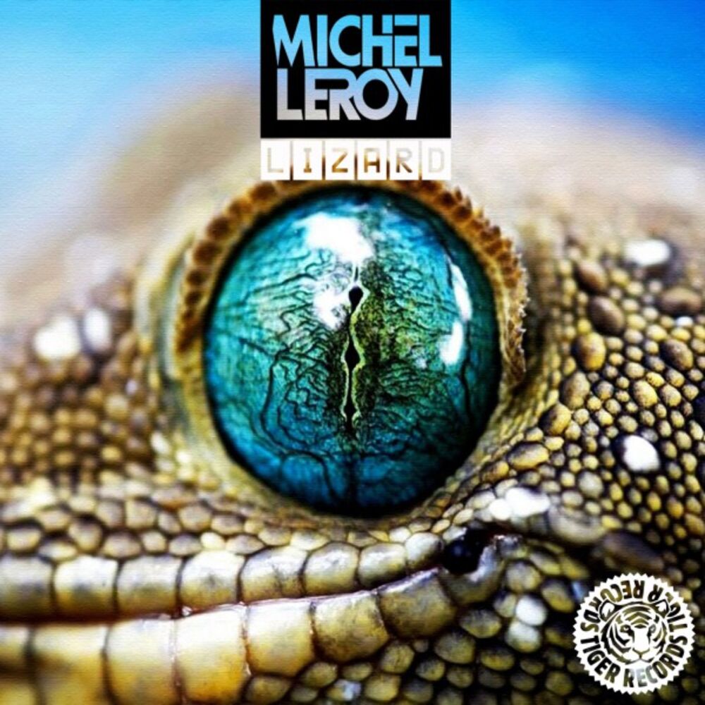 Picture of Lizard