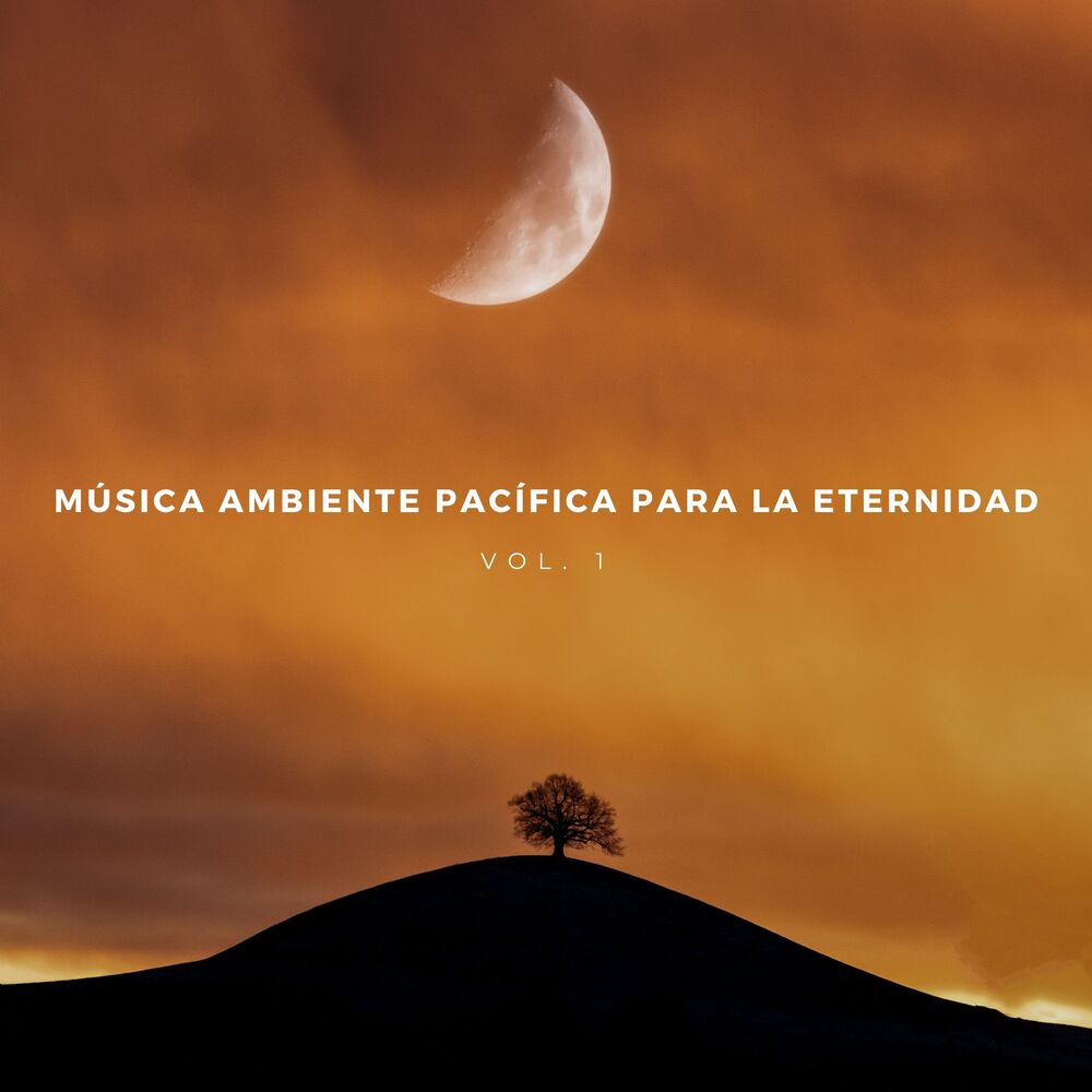 Picture of Música Ambiente Pacífica Para La Eternidad Vol. 1