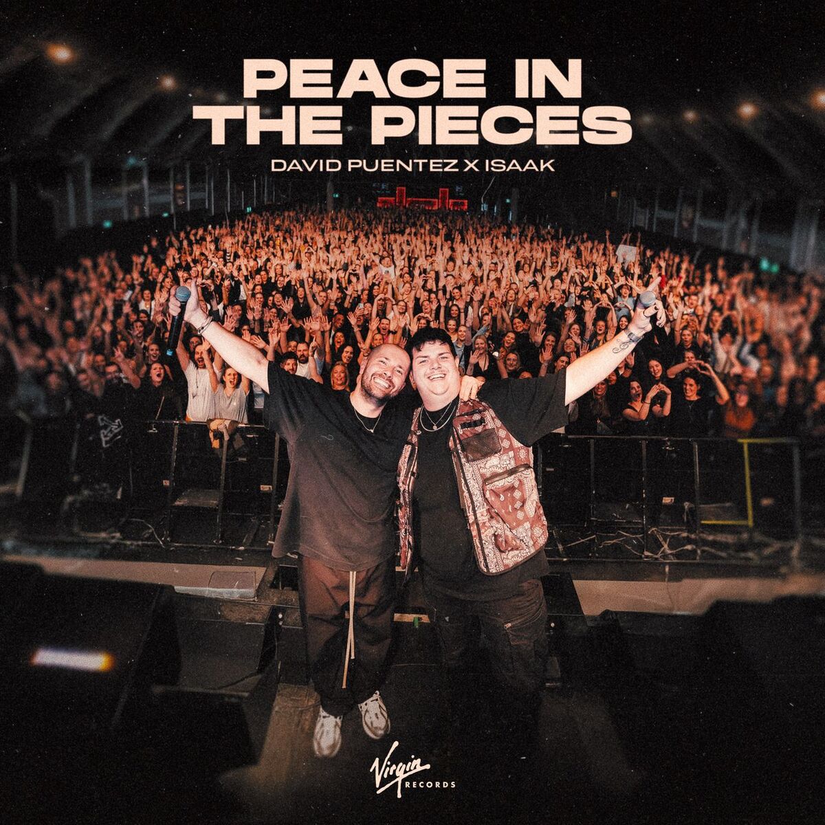 Album cover of Peace In The Pieces