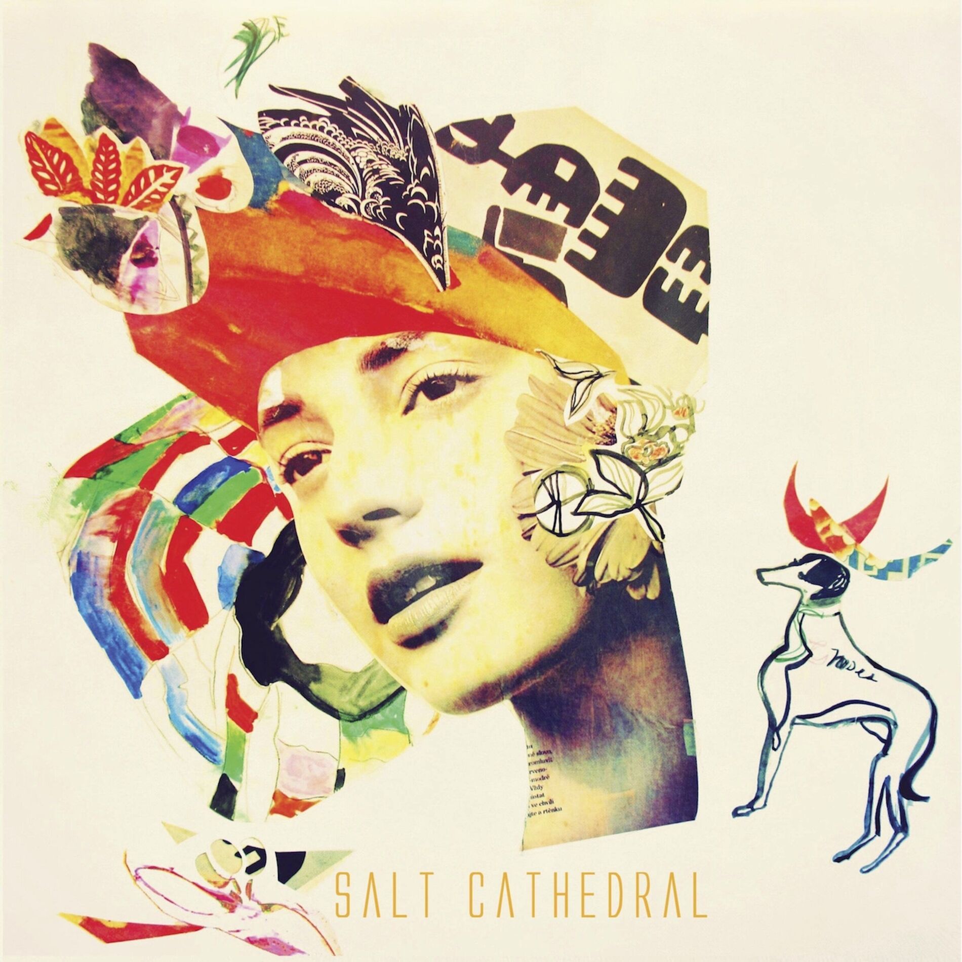 Album cover of Salt Cathedral