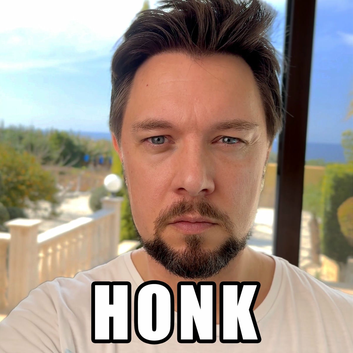 Album cover of HONK