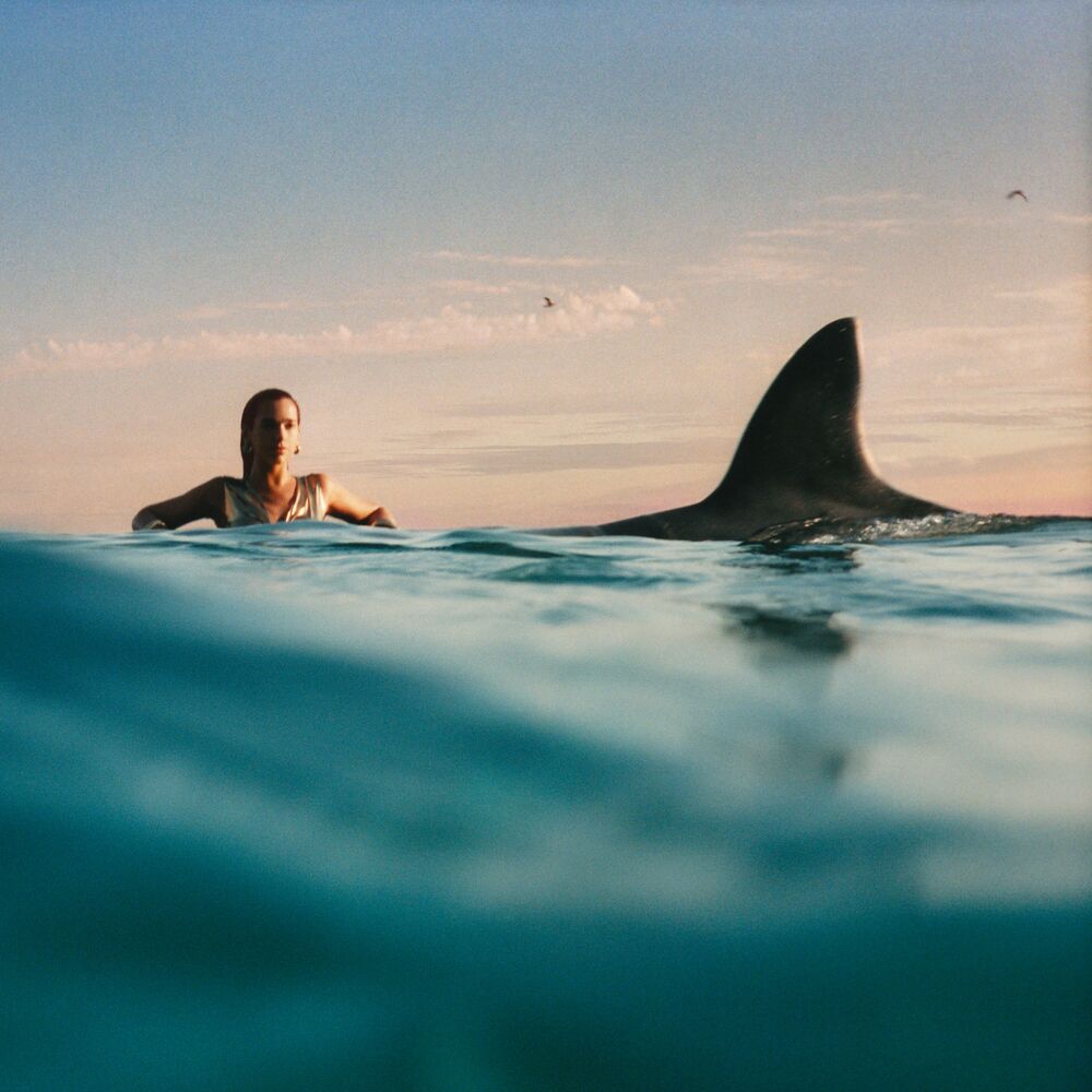 Picture of Radical Optimism