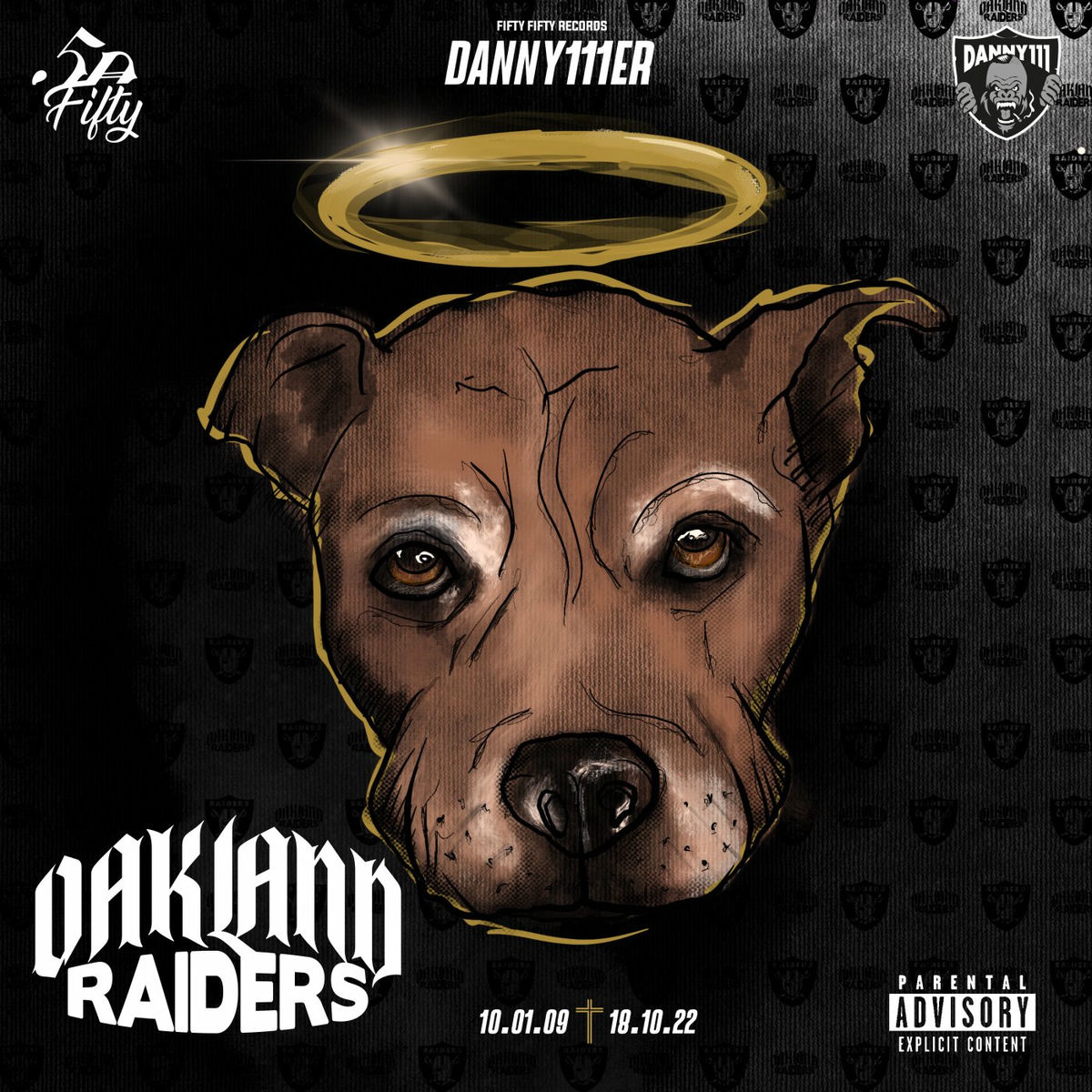 Album cover of Oakland Raiders