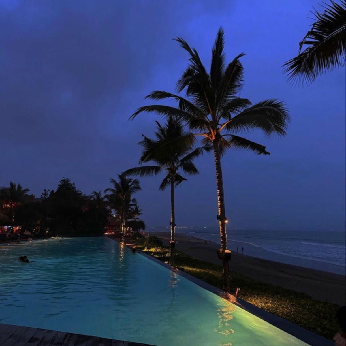 Album cover of no signal 2