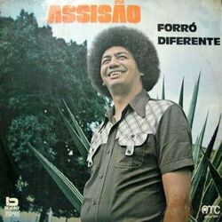 Cover of Forró diferente