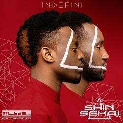 Cover of Indéfini