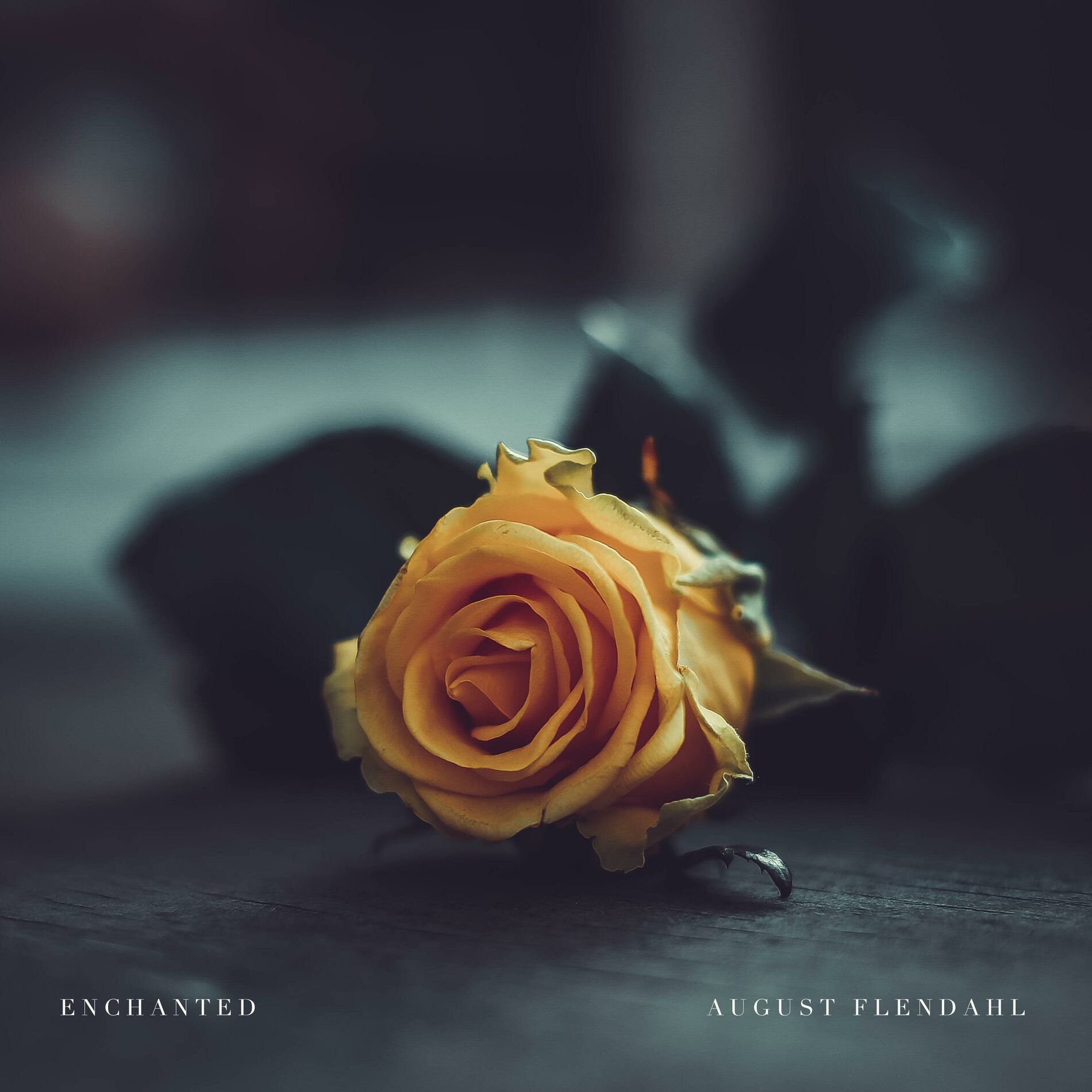 Album cover of Enchanted