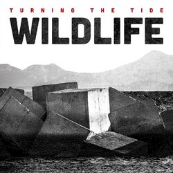 Cover of Turning The Tide