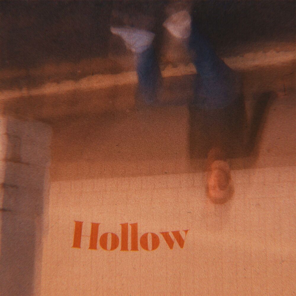 Picture of Hollow