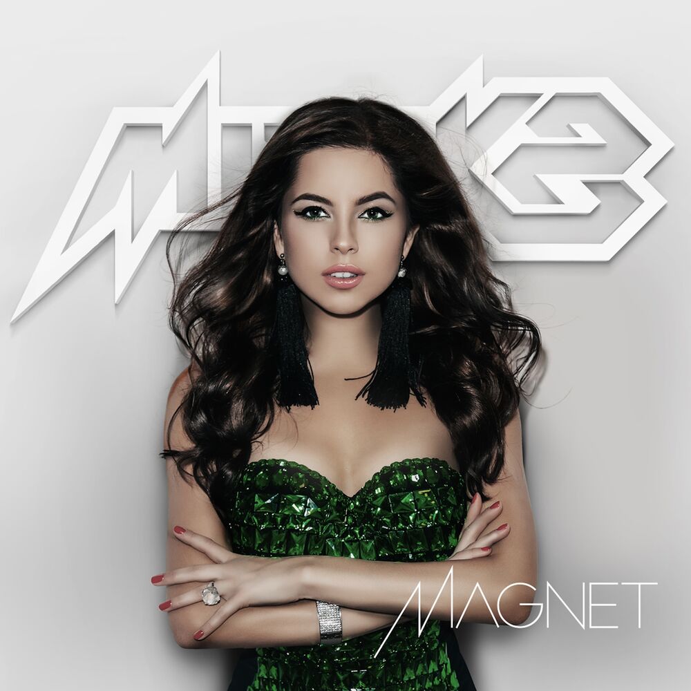 Picture of Magnet