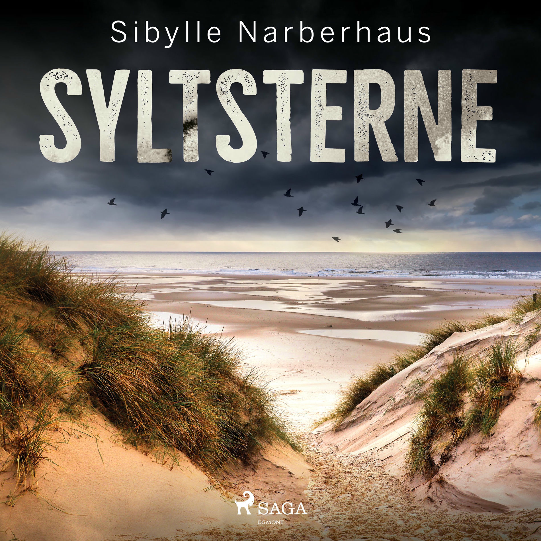 Album cover of Kapitel 1 & Kapitel 2.1 - Syltsterne