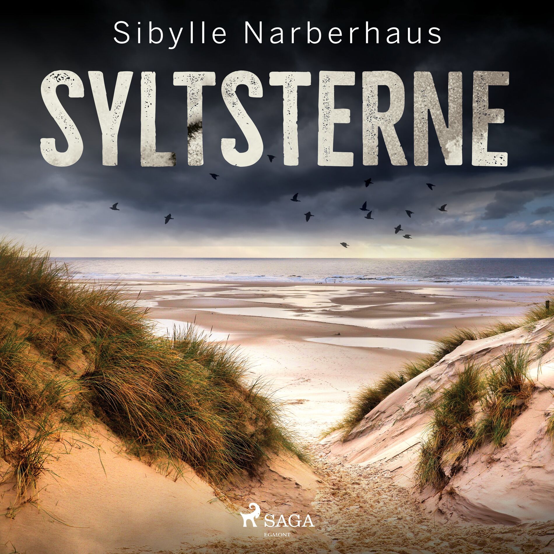 Album cover of Syltsterne