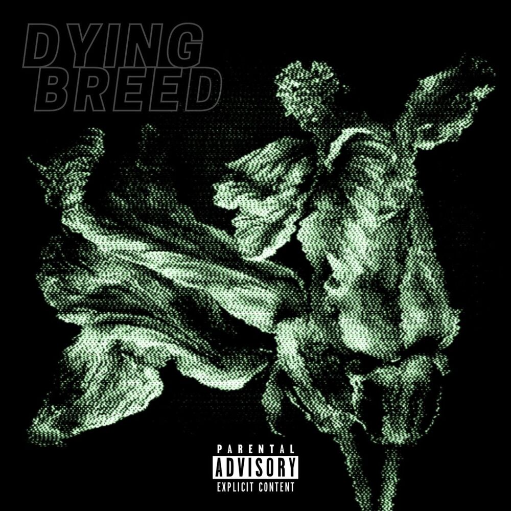 Picture of Dying Breed