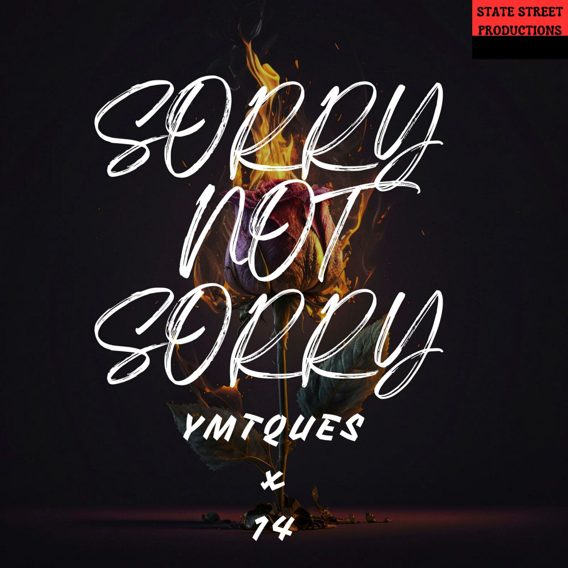 Album cover of Sorry Not Sorry (feat. 14)