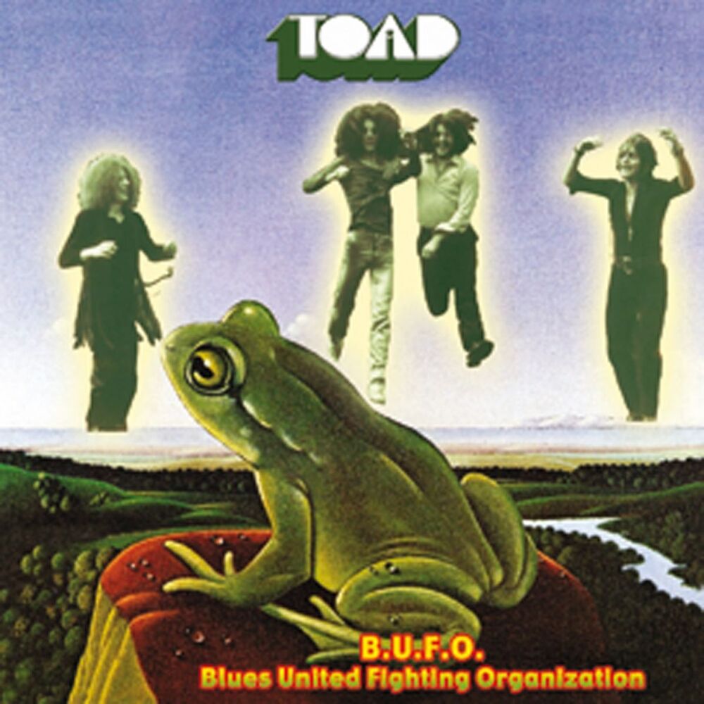 Picture of B.U.F.O