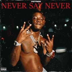 Cover of Never Say Never