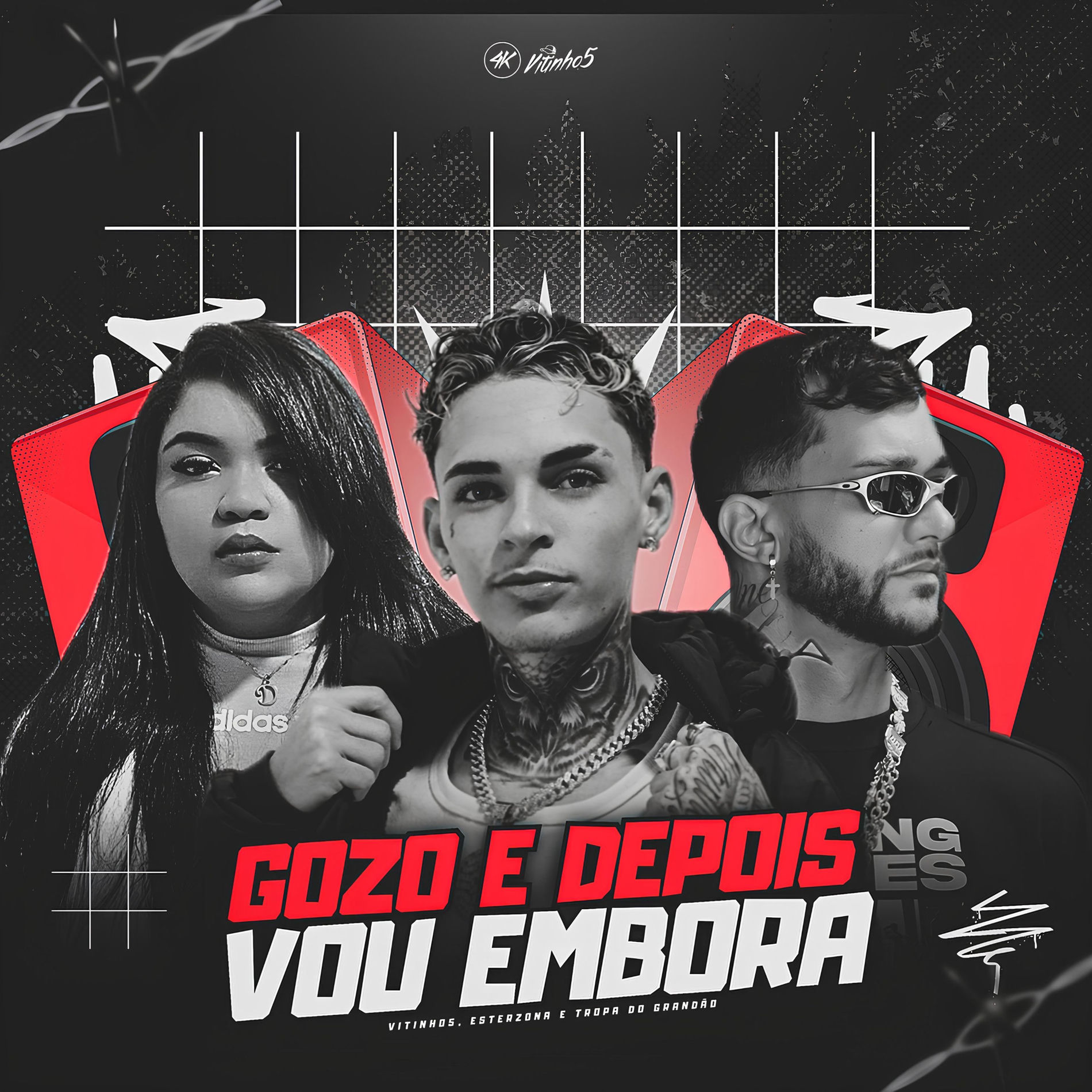 Album cover of Gozo e Depois Vou Embora