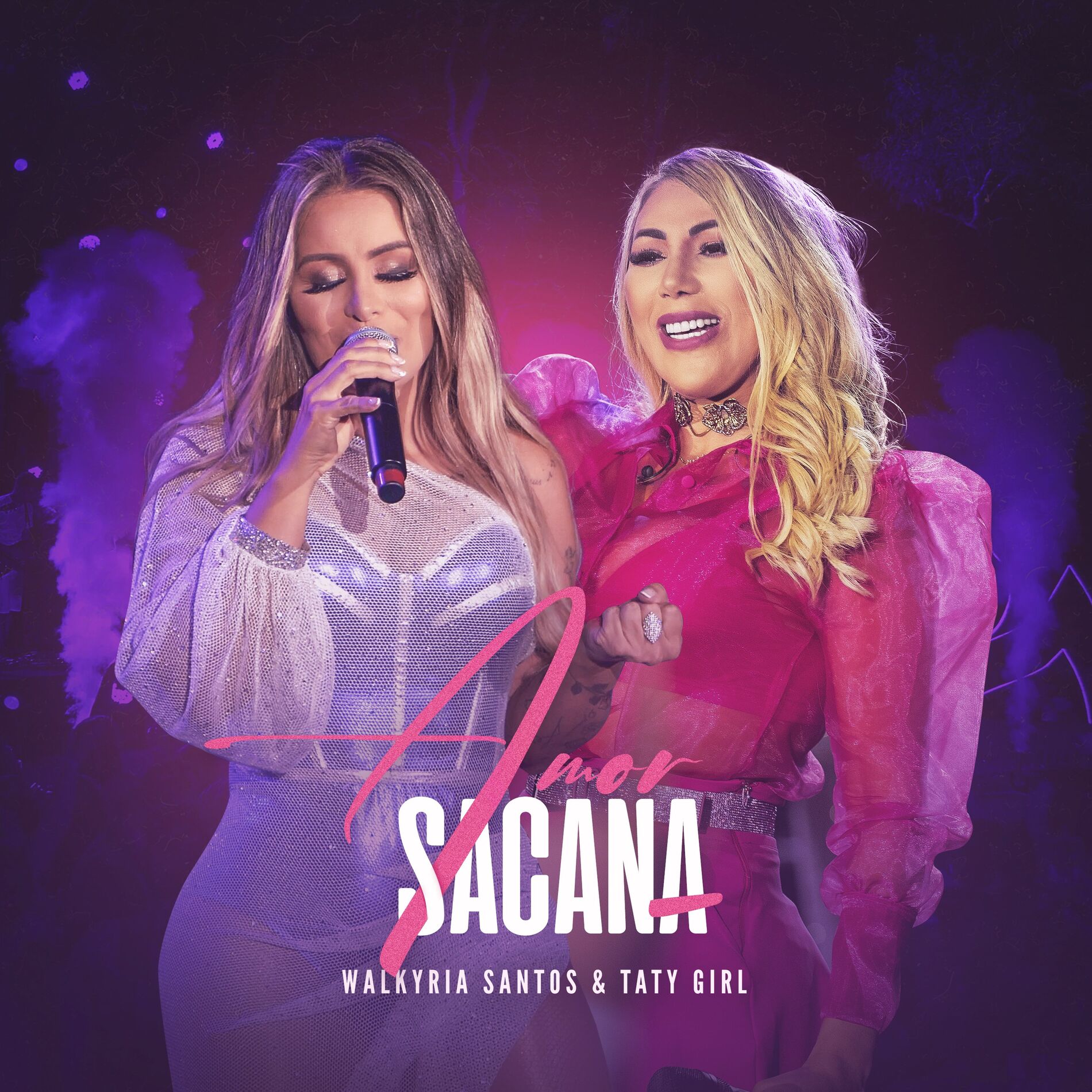 Album cover of Amor Sacana