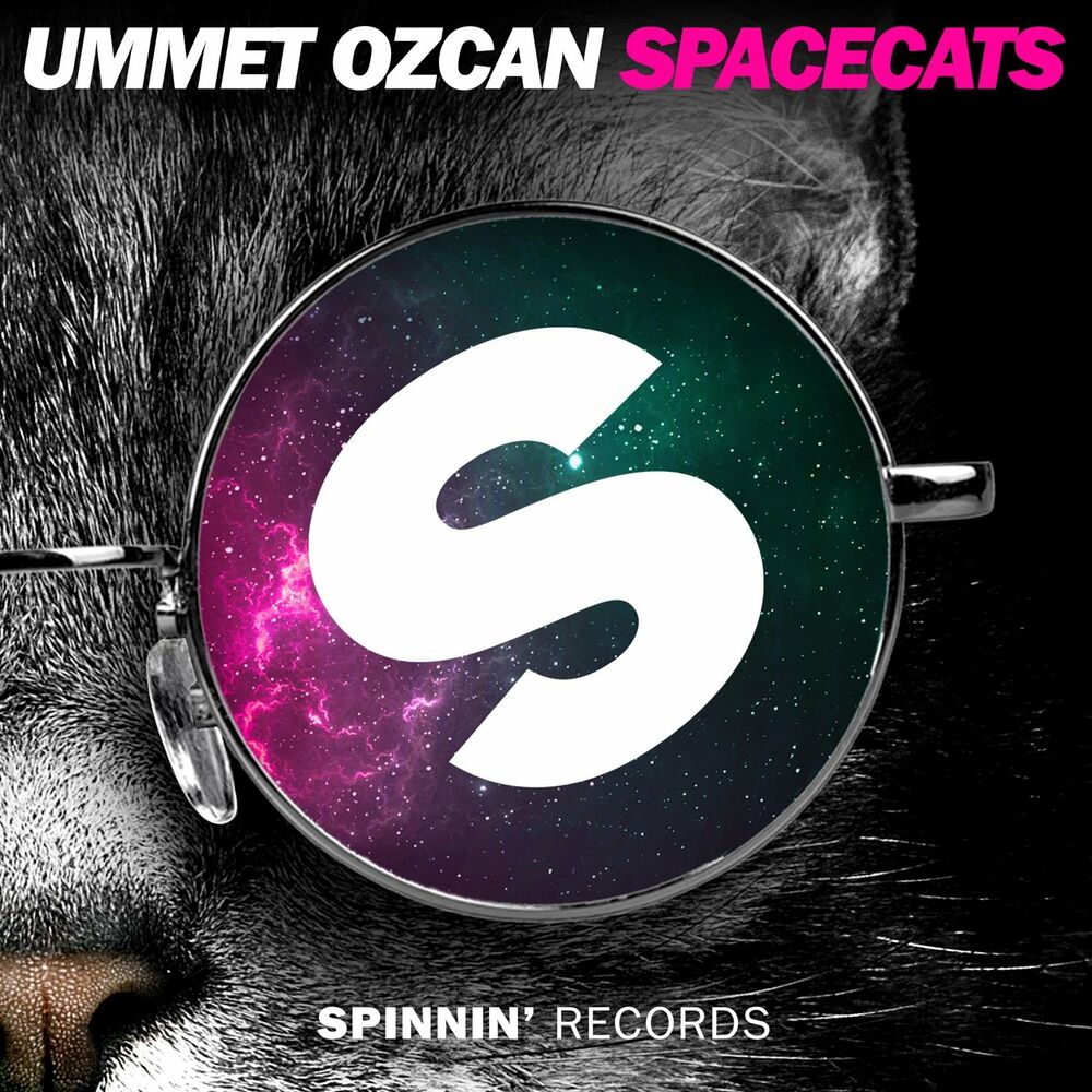 Picture of Spacecats