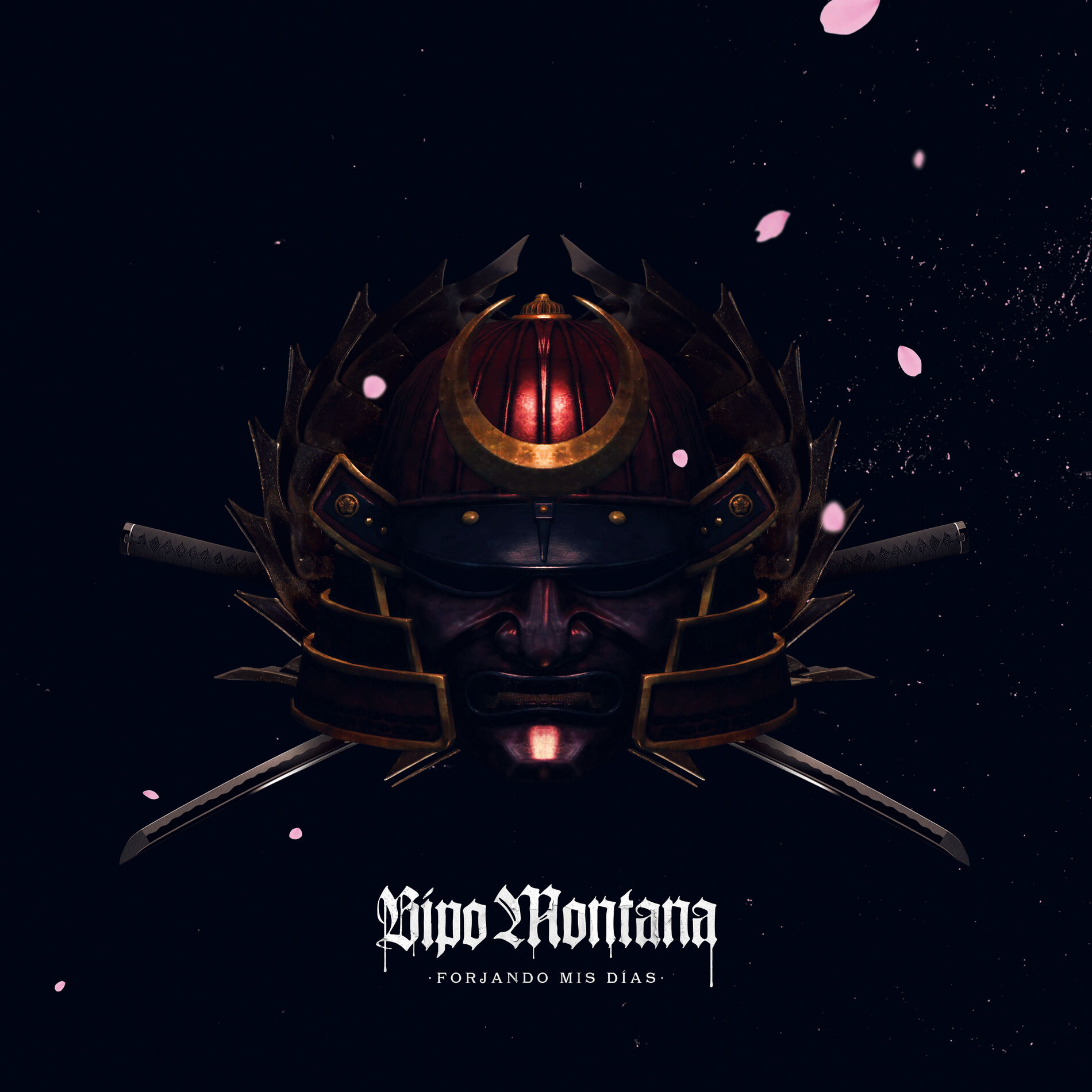 Album cover of Forjando Mis Días