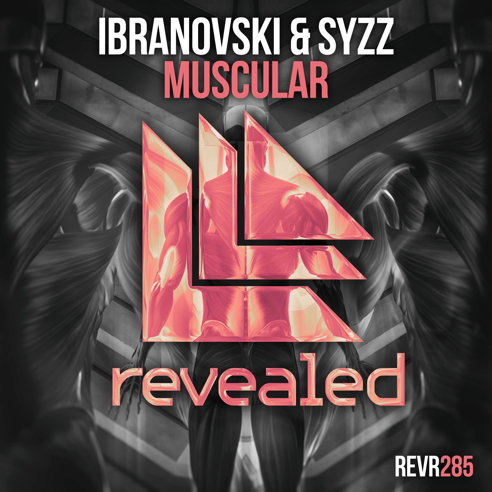 Album cover of Muscular